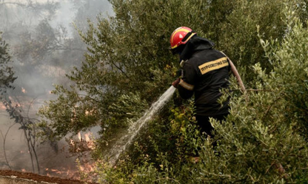 Κρήτη: Πυρκαγιά σε δύσβατο σημείο στον Άγιο Θωμά τώρα